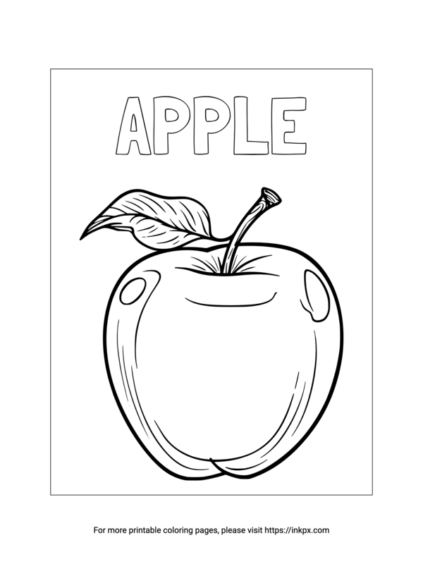 Free Printable Realistic Apple Coloring Sheet