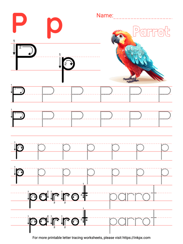 Free Printable Colorful Letter P Tracing Worksheet with Word Parrot