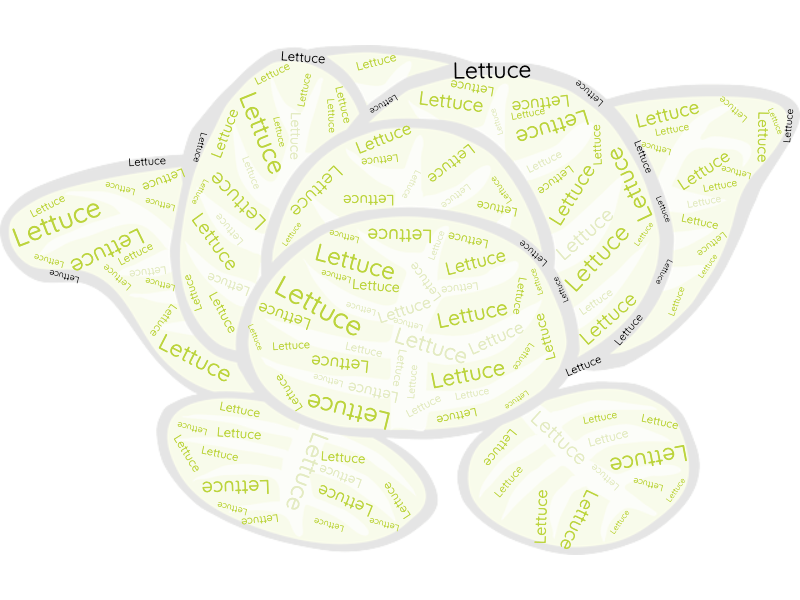 Lettuce Word Cloud · InkPx
