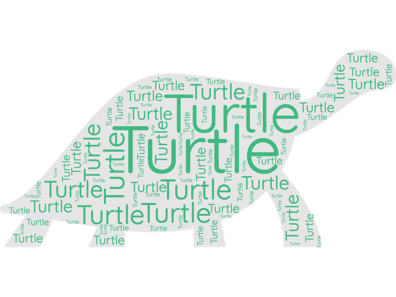 5 letter word with turtle