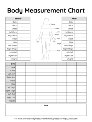 Free Printable Guided Table Style Body Measurement Chart For Female