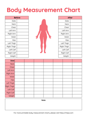 Free Printable Colorful Table Style Body Measurement Chart For Female