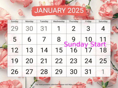 Free Printable Carnation Background Large January 2025 Calendar (Sunday Start)