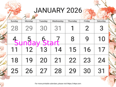 Free Printable Carnation Large Font January 2026 Calendar (Sunday Start)