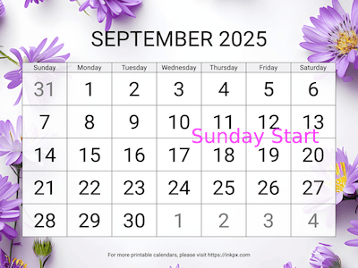 Free Printable Large Aster Background September 2025 Calendar (Sunday Start)