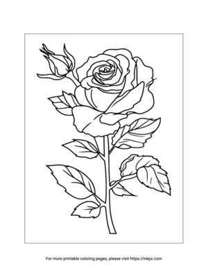 Free Printable Simple Rose Coloring Page