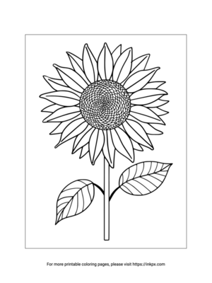 Free Printable Realistic Sunflower Coloring Page