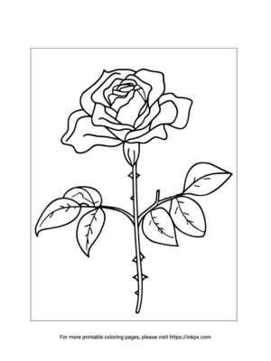 Free Printable Simple Rose Coloring Sheet