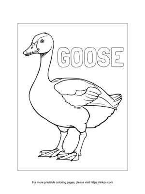 Free Printable Realistic Goose Coloring Page