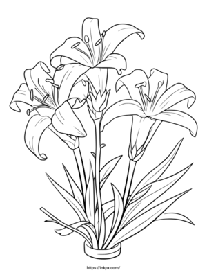 Free Printable Lily Bouquet Coloring Page
