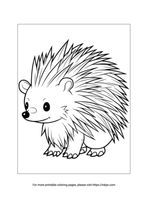 Printable Cute Porcupine Coloring Sheet