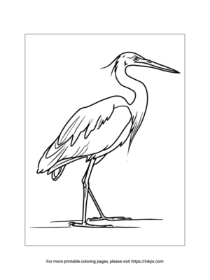 Free Printable Egret Coloring Sheet