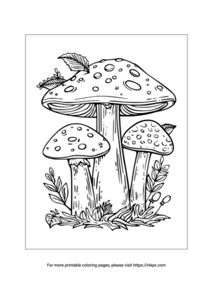 Printable Multiple Mushrooms Coloring Page