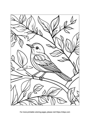 Printable Blackbird Coloring Sheet