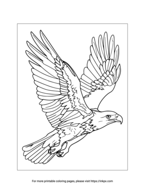 Printable Eagle Coloring Page