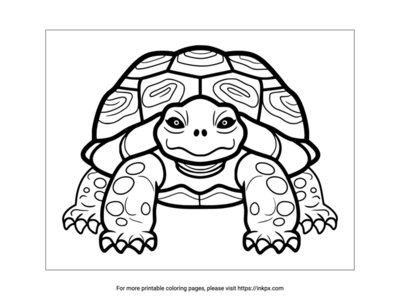 Printable Front View of Turtle Coloring Page