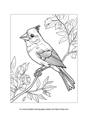 Printable Bird in the Tree Coloring Page