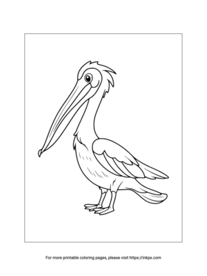 Printable Pelican Coloring Page