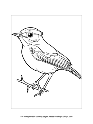 Free Printable Thrush Coloring Sheet