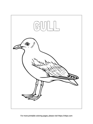 Printable Gull Coloring Page