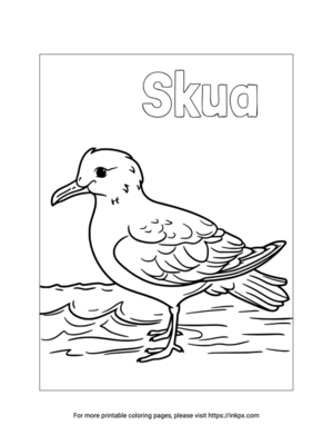 Free Printable Skua Coloring Page