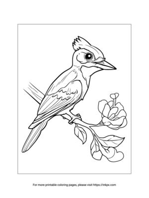 Free Printable Woodpecker Coloring Page