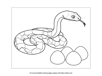 Free Printable Snake & Snake Eggs Coloring Page