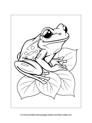 Free Printable Realistic Frog Coloring Page