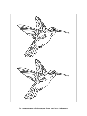Printable Double Hummingbirds Coloring Page