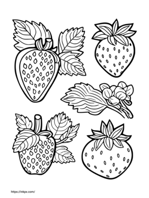 Free Printable Quadruple Strawberries Coloring Page