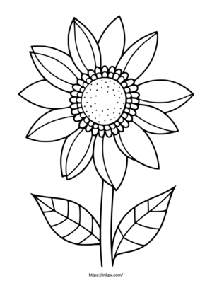 Free Printable Simple Line Draw Sunflower Coloring Page