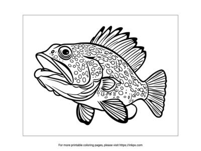 Printable Grouper Coloring Page