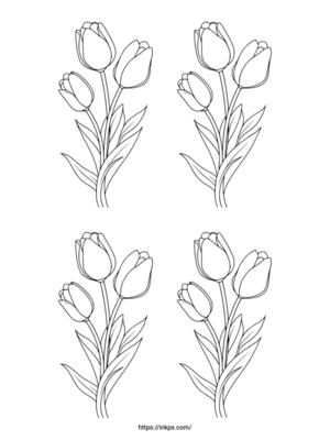 Free Printable Quadruple Tulip Coloring Page