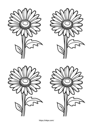 Free Printable Quadruple Gerbera Coloring Page