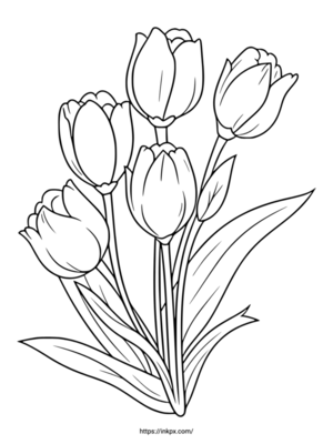 Free Printable Simple Line Art Flower Tulip Coloring Page