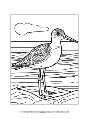 Free Printable Sandpiper Coloring Page