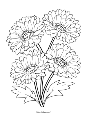 Free Printable Minimalist Chrysanthemum Coloring Page