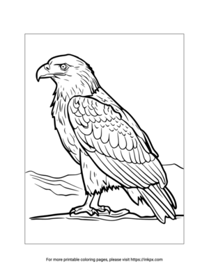 Printable Eagle Coloring Sheet