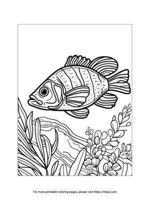 Printable Snapper Coloring Page