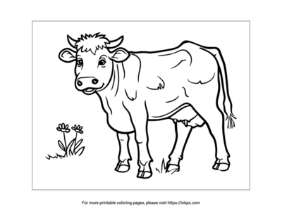 Free Printable Cow Coloring Sheet
