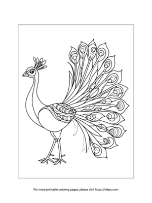 Printable Peacock Coloring Page