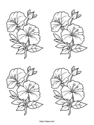 Free Printable Quadruple Hibiscus Coloring Page