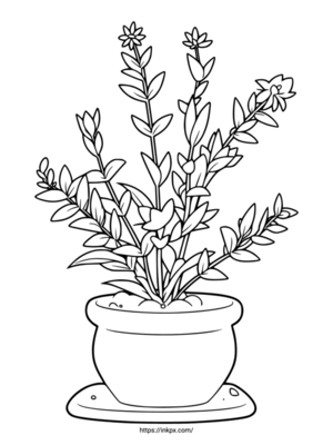Free Printable Lavender and Flowerpot Coloring Page