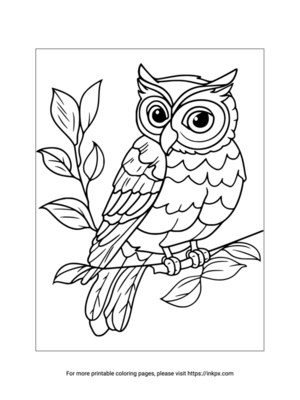 Printable Owl & Leaf Coloring Page