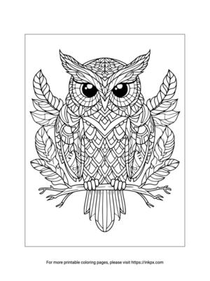 Printable Owl Coloring Page for Adults