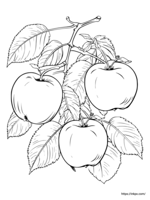 Free Printable Apple and Leaves Coloring Page