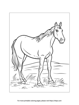 Printable Horse & Grassland Coloring Page
