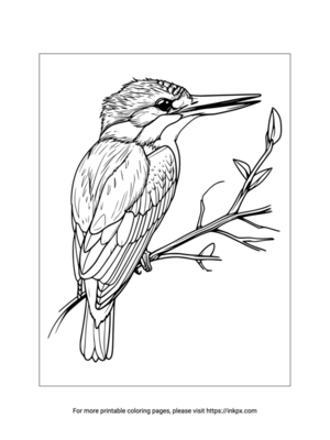 Printable Kingfisher Coloring Sheet