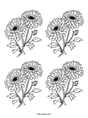 Free Printable Quadruple Chrysanthemum Coloring Page