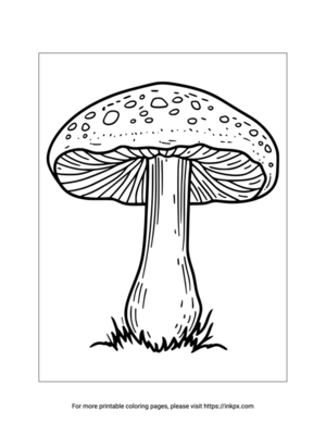 Free Printable Realistic Mushroom Coloring Page